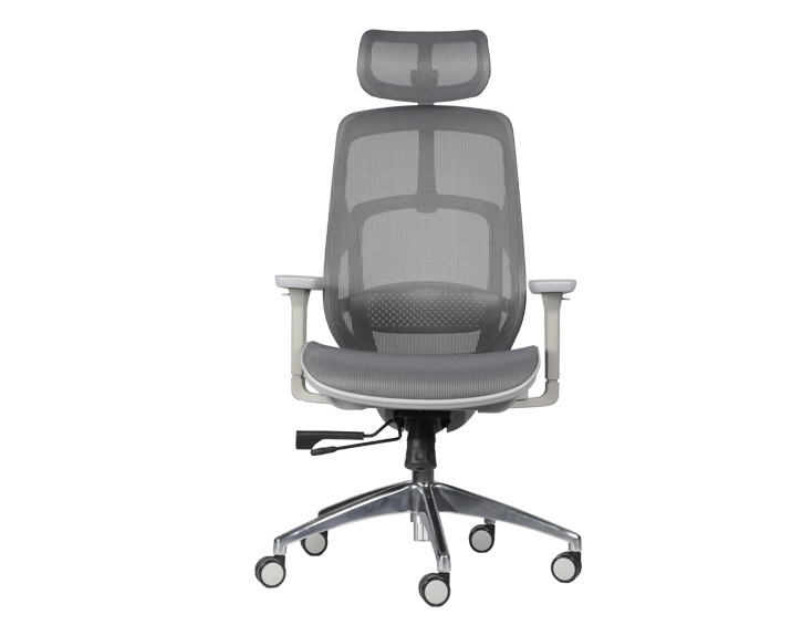 Serco Ergonomic High Back Office Chair
