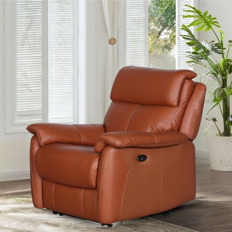 PlushCraft WarmComfort 1 seater (with 1 seats) with 1 motorised recliners