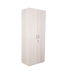 Zeta 2 Door Wardrobe - Ash Finish