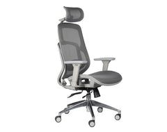 Serco Ergonomic High Back Office Chair