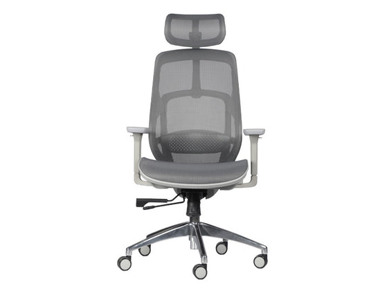 Serco Ergonomic High Back Office Chair